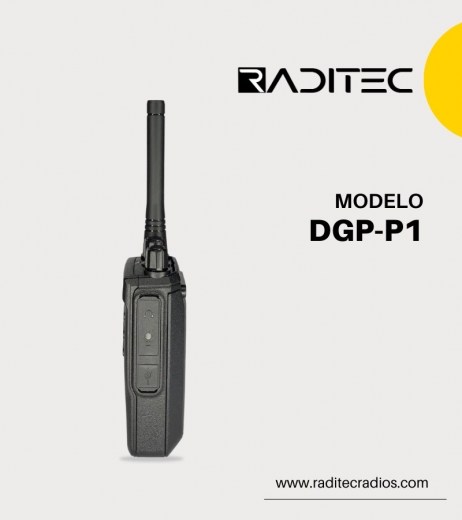 DGP-P1 (2)